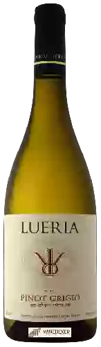 Bodega Lueria - Pinot Grigio