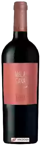 Bodega Malasaña - Tinto