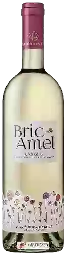 Bodega Marchesi di Barolo - Bric Amel Langhe