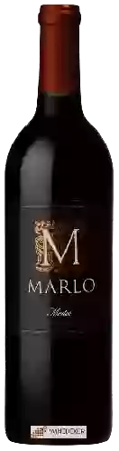 Bodega Marlo - Merlot