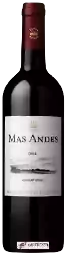 Bodega Mas Andes - Carménère Reserva