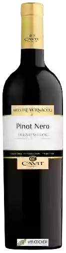 Bodega Mastri Vernacoli - Pinot Nero