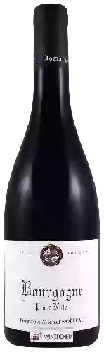 Bodega Michel Noëllat - Bourgogne Pinot Noir