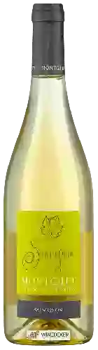 Domaine de Montgilet - Sauvignon