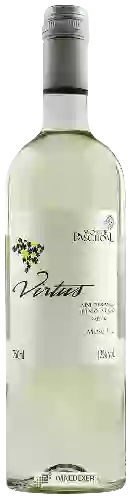 Bodega Monte Paschoal - Virtus Moscato