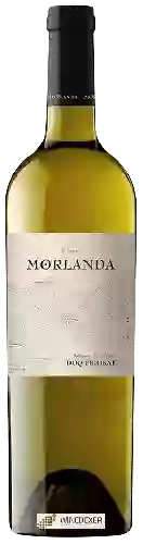 Bodega Morlanda - Blanc