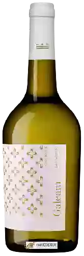 Bodega Murviedro - Galeam Dry Muscat