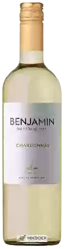 Bodega Nieto Senetiner - Benjamin Chardonnay