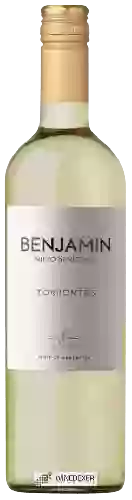 Bodega Nieto Senetiner - Benjamin Torrontes