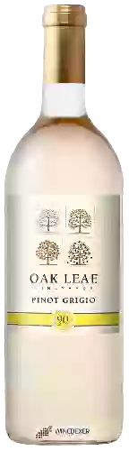 Bodega Oak Leaf - Pinot Grigio
