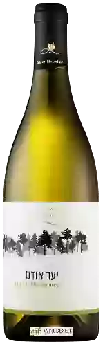 Bodega Odem Mountain (יקב הר אודם) - Odem Forest Viognier - Chardonnay