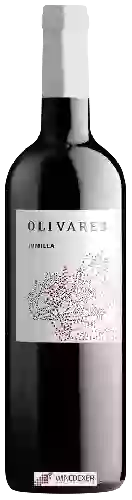 Bodega Olivares - Joven