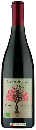 Bodega Pascal - Cuvée Hesperia Beaumes de Venise