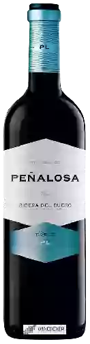 Bodegas Pascual - Heredad de Peñalosa Tinto Roble