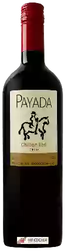 Bodega Payada - Chilean Red