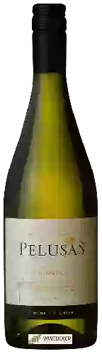 Bodega Pelusas - Chardonnay