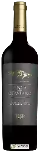 Bodega Otaviano - Penedo Borges Estate Premium Cabernet Sauvignon