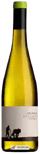 Bodega Weingut Pflüger - Michelsberg Riesling