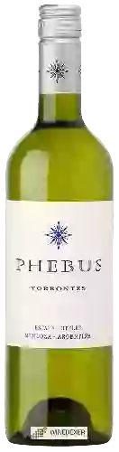 Bodega Phebus - Torrontes