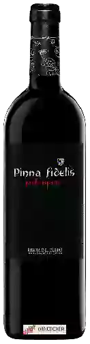 Bodega Pinna Fidelis - Ribera del Duero Roble Español