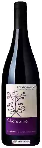 Bodega Pomodolce - Cherubino