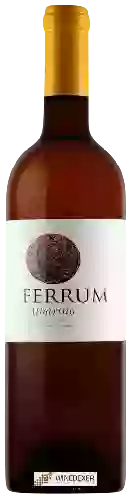 Bodega Pontecabaleiros - Ferrum Albari&ntildeo