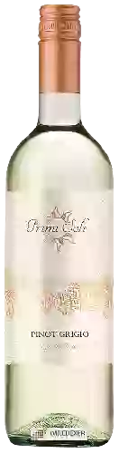 Bodega Primi Soli - Pinot Grigio