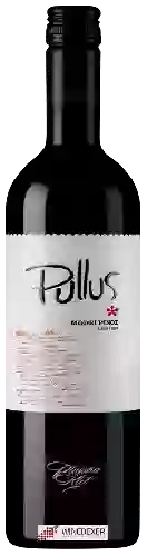 Bodega Pullus - Modri Pinot / Pinot Noir