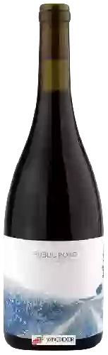 Bodega Public Road - Pinot Noir