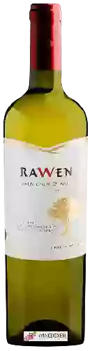 Bodega Ravanal - Rawen Sauvignon Blanc