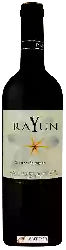 Bodega Rayun - Cabernet Sauvignon