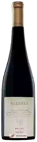 Bodega Reguta - Pinot Nero