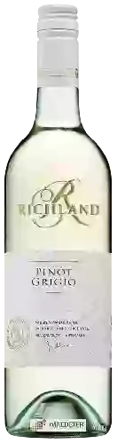 Bodega Richland - Pinot Grigio