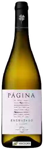 Bodega Romana Vini - P&aacutegina Encruzado