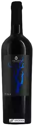 Bodega Cantina Sampietrana - SYRAH Sampietrana