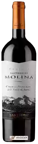 Bodega San Pedro - Castillo de Molina Cabernet Sauvignon (Reserva)