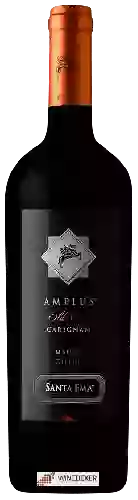 Bodega Santa Ema - Amplus Old Vine Carignan