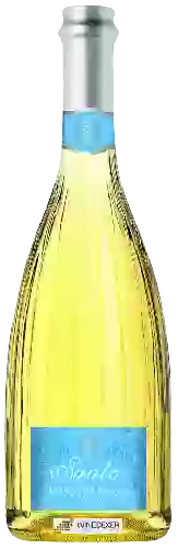 Bodega Santo - Moscato d'Asti