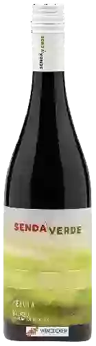 Bodega Senda Verde - Mencia