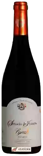 Bodega Señorío de Iniesta - Syrah