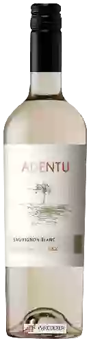 Bodega Siegel - Adentu Sauvignon Blanc