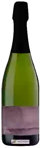 Bodega Vinyes Singulars - Cava Brut Nature