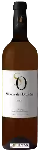 Bodega Sources de l'Oppidum - Cuvee J