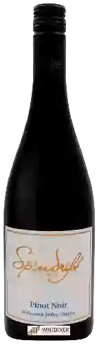 Bodega Spindrift - Pinot Noir