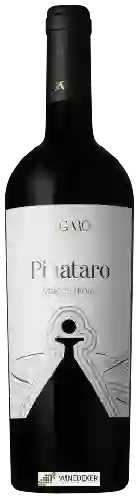 Bodega Tagaro - Pinataro Nero di Troia