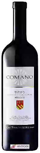 Bodega Tamborini Carlo - Comano Merlot