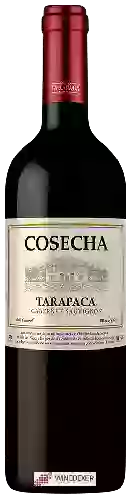 Bodega Tarapacá - Cosecha Cabernet Sauvignon