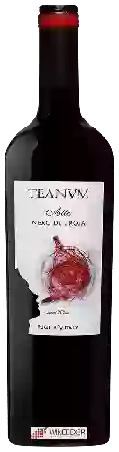 Bodega Teanum - Alta Nero di Troia