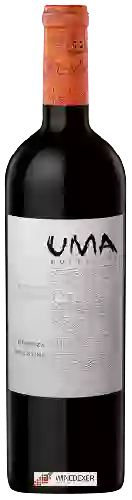 Bodega Telteca - UMA Colección Cabernet Sauvignon