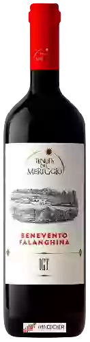 Bodega Tenuta del Meriggio - Benevento Falanghina